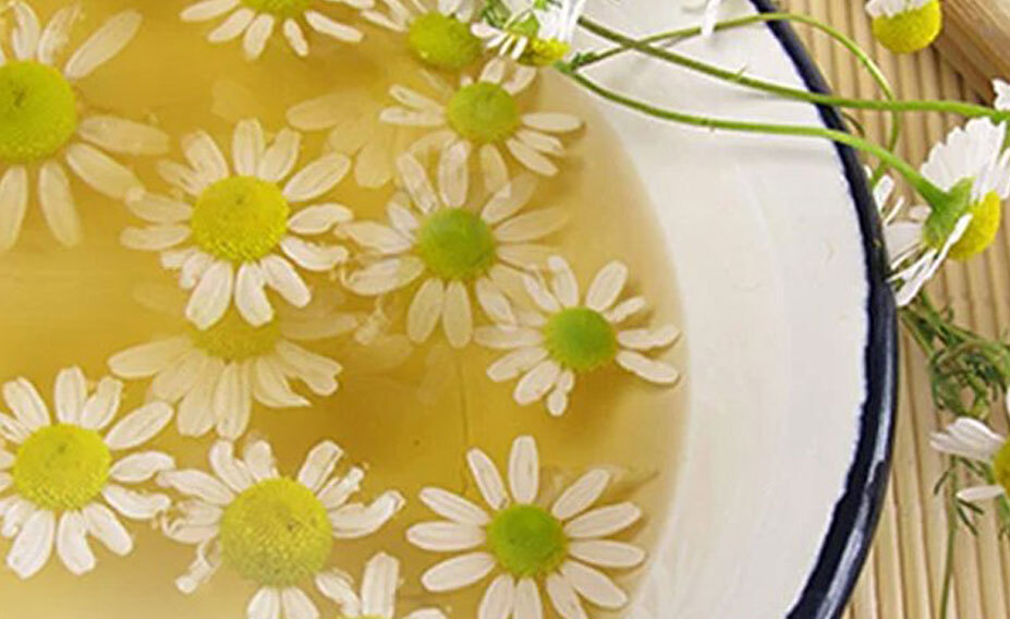 What is Tincture of Matricaria?